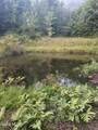 178 Dunshee Road - Photo 23