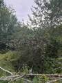 178 Dunshee Road - Photo 24