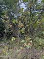 178 Dunshee Road - Photo 27