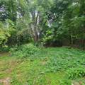239 Colonie Street - Photo 5