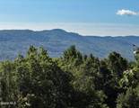 49 Wonderview Lane - Photo 43