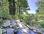49 Wonderview Lane - Photo 67