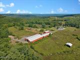 3405 Rynex Corners Road - Photo 6