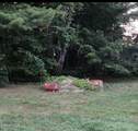 114 Woodland Avenue - Photo 35