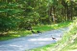 289 County Route 4 - Photo 44