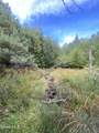 67 Van Auken Road - Photo 35
