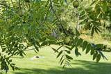 39 Jesse Ann Circle - Photo 46