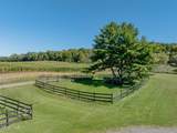 280 Rexleigh Road - Photo 55