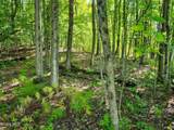478 County Route 47 - Photo 26