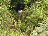 7 Smith Road - Photo 12