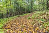 102 Co Rd 10 - Photo 60