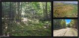 77 Carriage Knoll Road - Photo 1