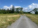 35 Pulcher - Photo 2