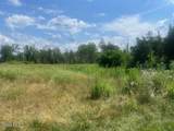 35 Pulcher - Photo 4
