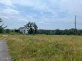 35 Pulcher - Photo 5