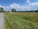 35 Pulcher - Photo 9