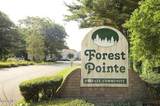 5006 Forest Point Drive - Photo 33