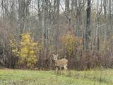 7715 Us Hwy 20 - Photo 42