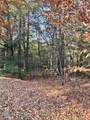 L5.322 South Trout Lake Road - Photo 3