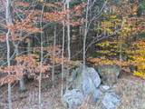 443 Lake Desolation Road - Photo 4
