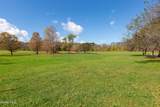 380 Raymond Fish Road - Photo 41