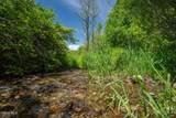 1057 County Route 64 - Photo 6