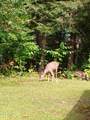 141 River Road - Photo 50