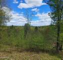 1710 Truthville Road - Photo 35