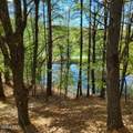 1710 Truthville Road - Photo 38