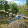 1710 Truthville Road - Photo 39