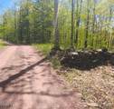 1710 Truthville Road - Photo 40