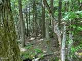 787 Stoney Lonesome Road - Photo 9