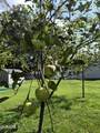 450 Wilton Gansevoort Road - Photo 28