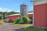 3405 Rynex Corners Road - Photo 88