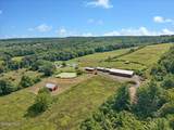 3405 Rynex Corners Road - Photo 93