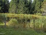 221 Stone Ridge Drive - Photo 43