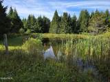 221 Stone Ridge Drive - Photo 45