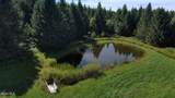 221 Stone Ridge Drive - Photo 46