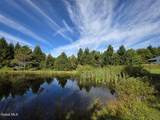 221 Stone Ridge Drive - Photo 47