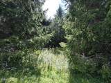 221 Stone Ridge Drive - Photo 50