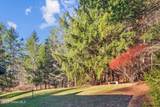 195 Potter Mtn Road - Photo 11