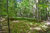 86 Carriage Knoll Road - Photo 13