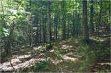 98 Carriage Knoll Road - Photo 12