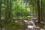 98 Carriage Knoll Road - Photo 9
