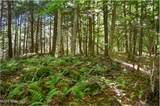 106 Carriage Knoll Road - Photo 16