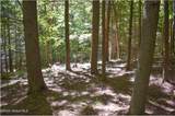 106 Carriage Knoll Road - Photo 8