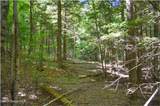 85 Carriage Knoll Road - Photo 12