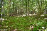 85 Carriage Knoll Road - Photo 9