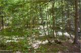 77 Carriage Knoll Road - Photo 12