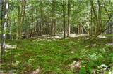 77 Carriage Knoll Road - Photo 7
